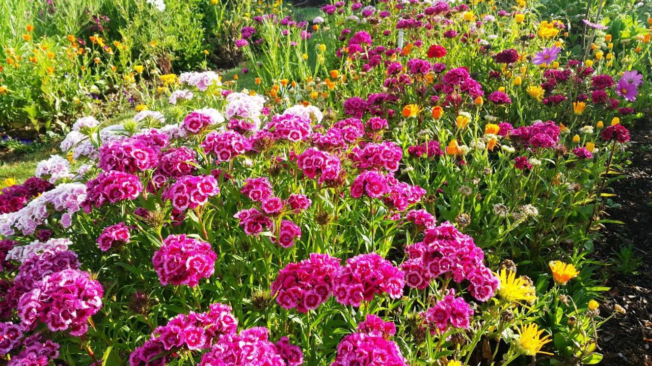 Appartamento Blooming Delight Tauranga Esterno foto